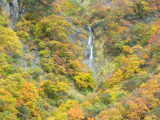 img0090.jpg