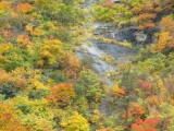 img0095.jpg