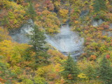 img0097.jpg