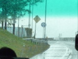 img0113.jpg