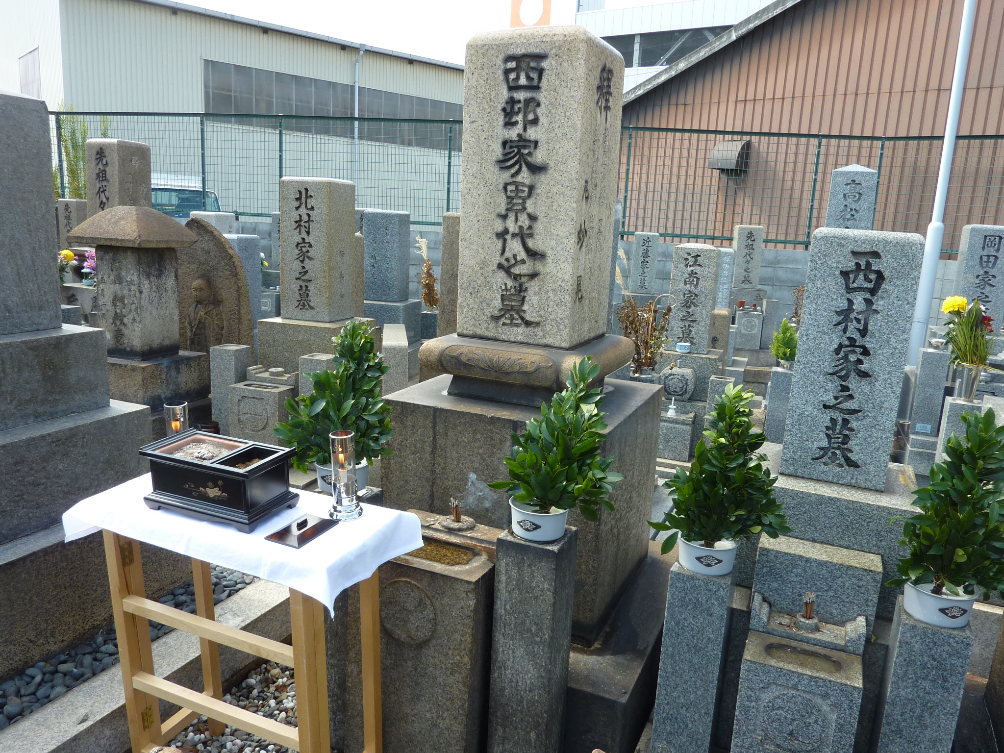 P1080036.JPG