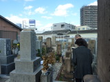 img0003.jpg