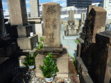 img0010.jpg