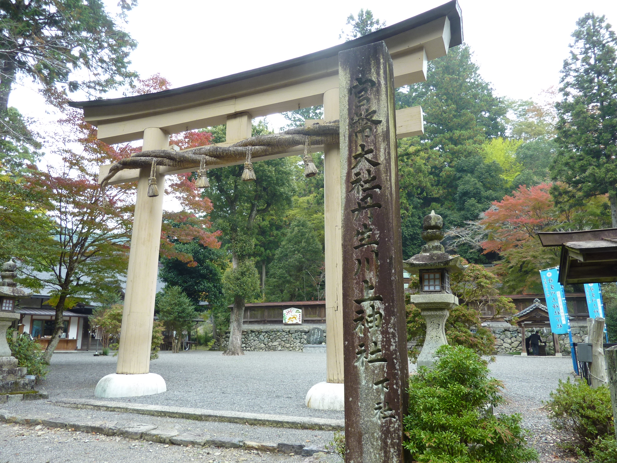 P1080175.JPG