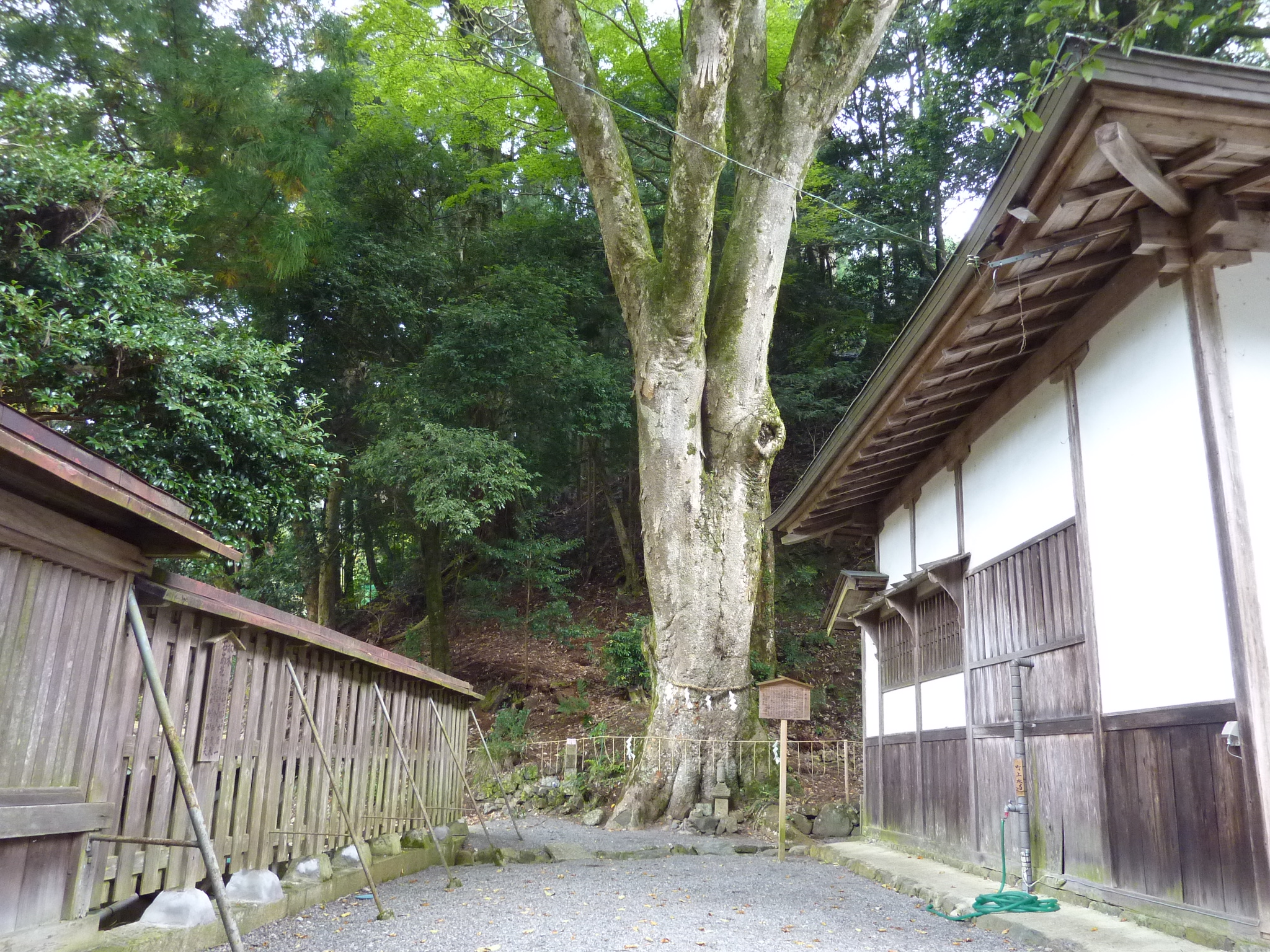 P1080185.JPG