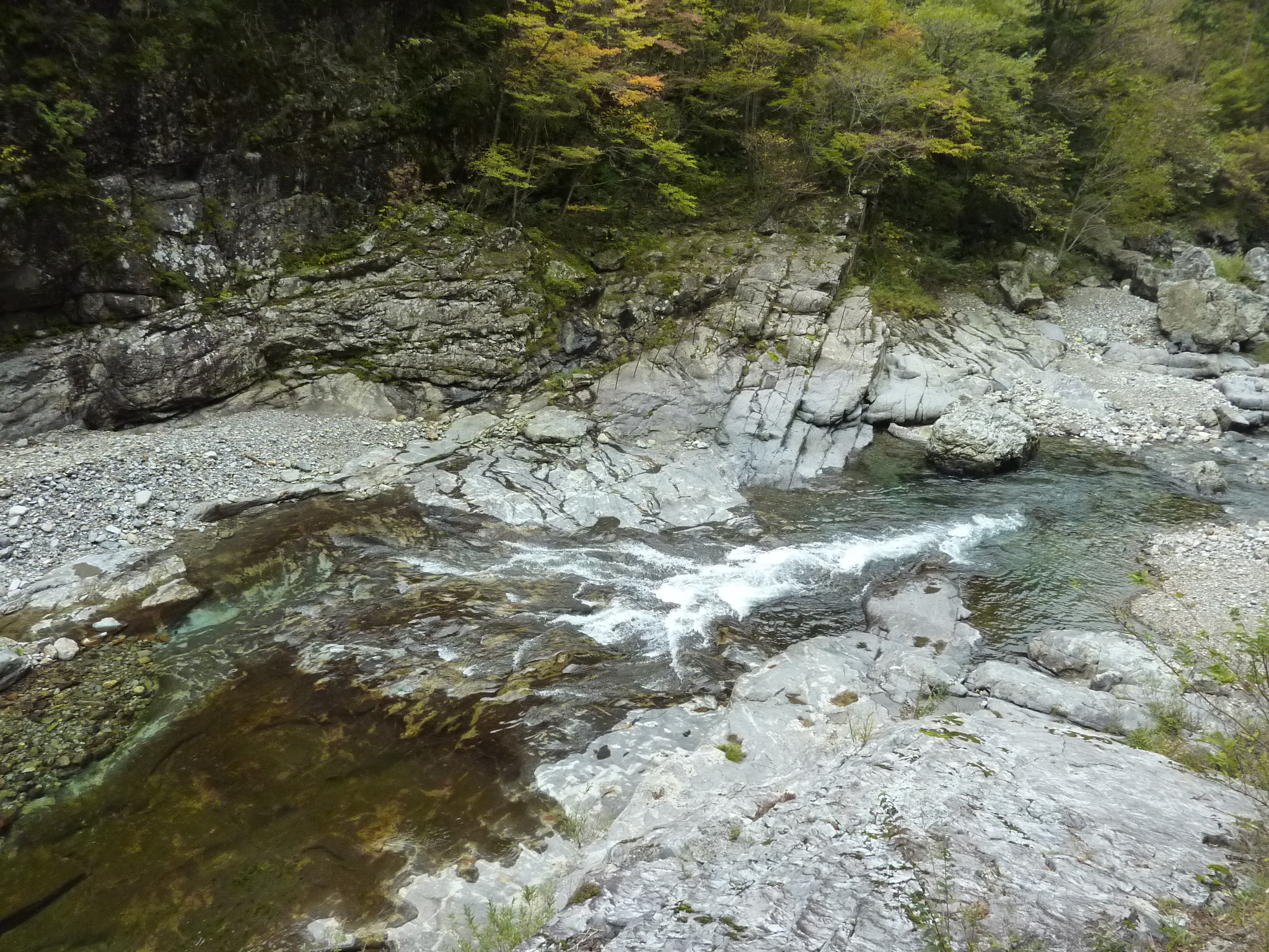 P1080197.JPG