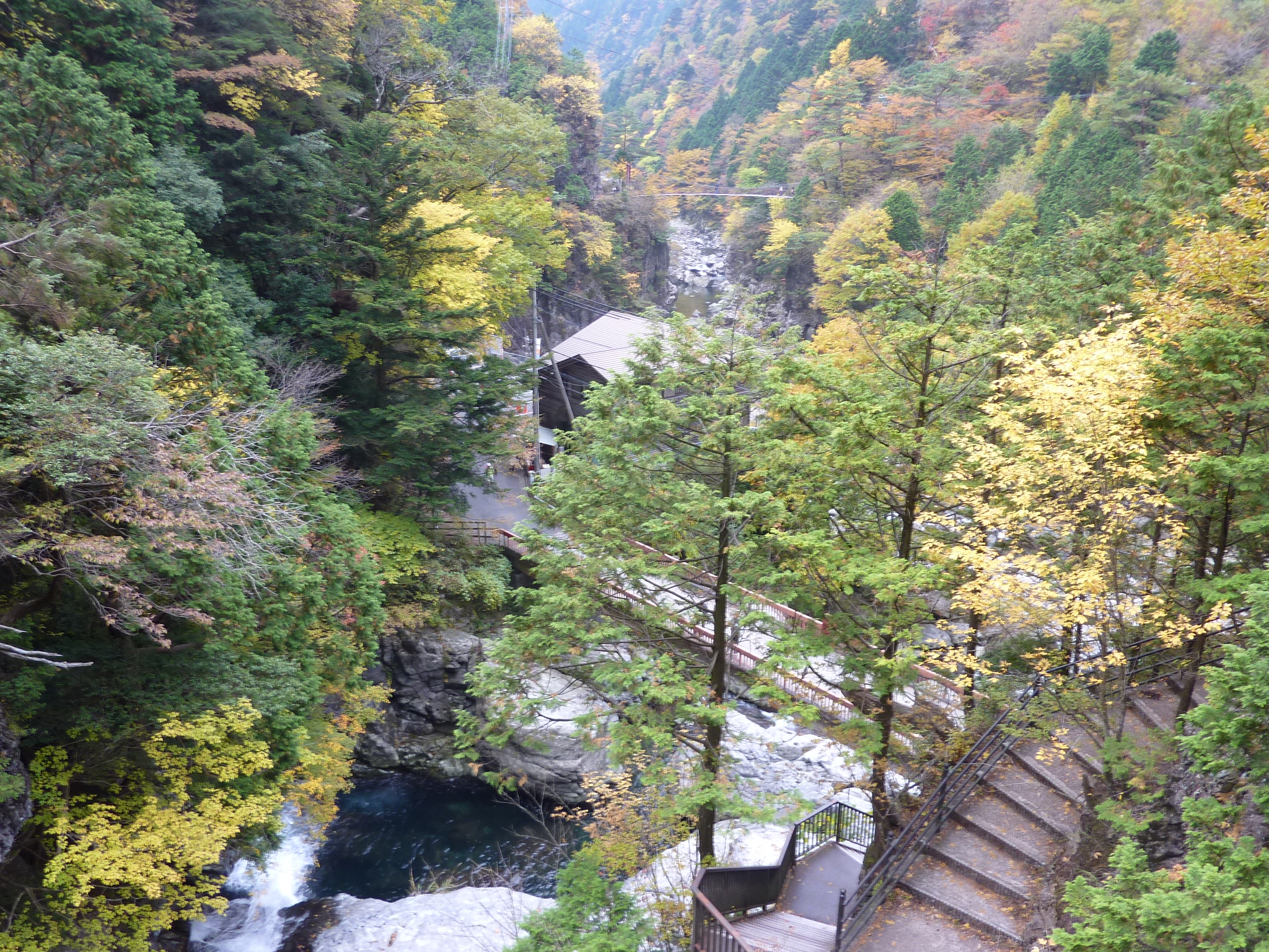 P1080201.JPG
