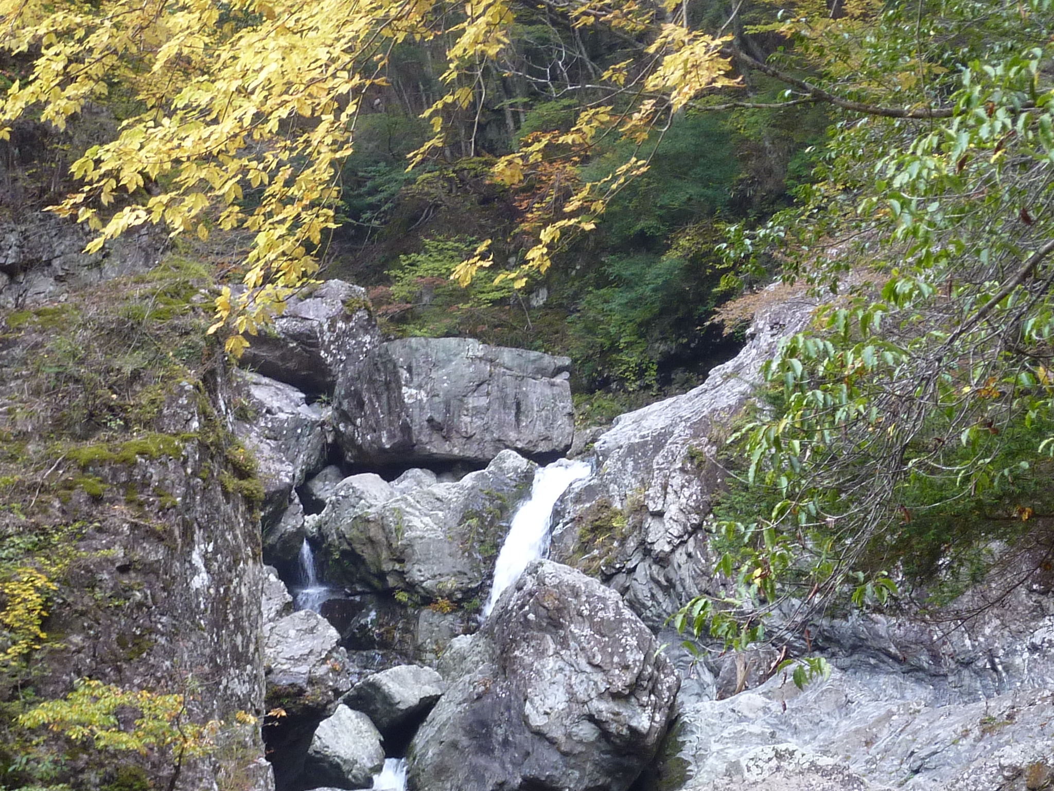 P1080211.JPG