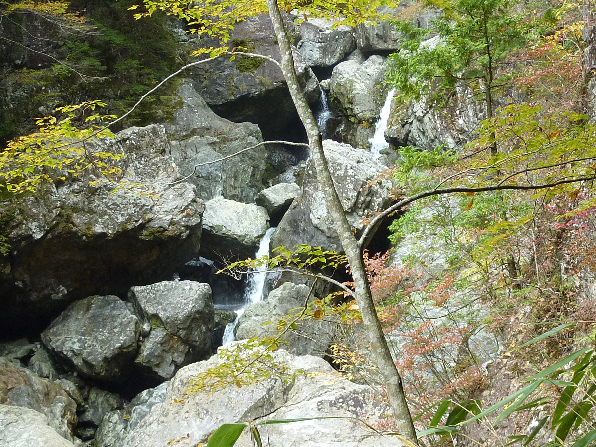 P1080214.JPG