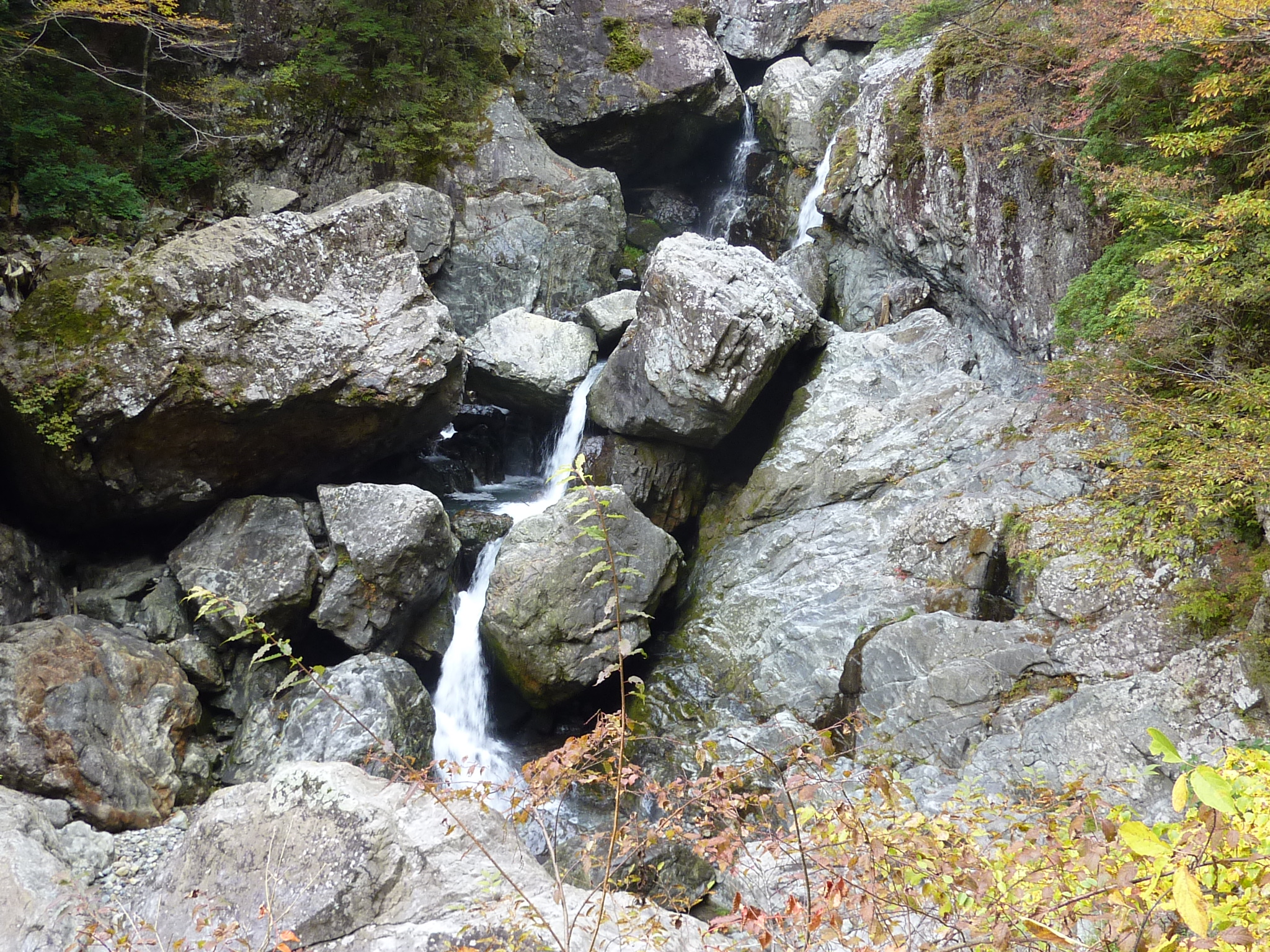 P1080215.JPG