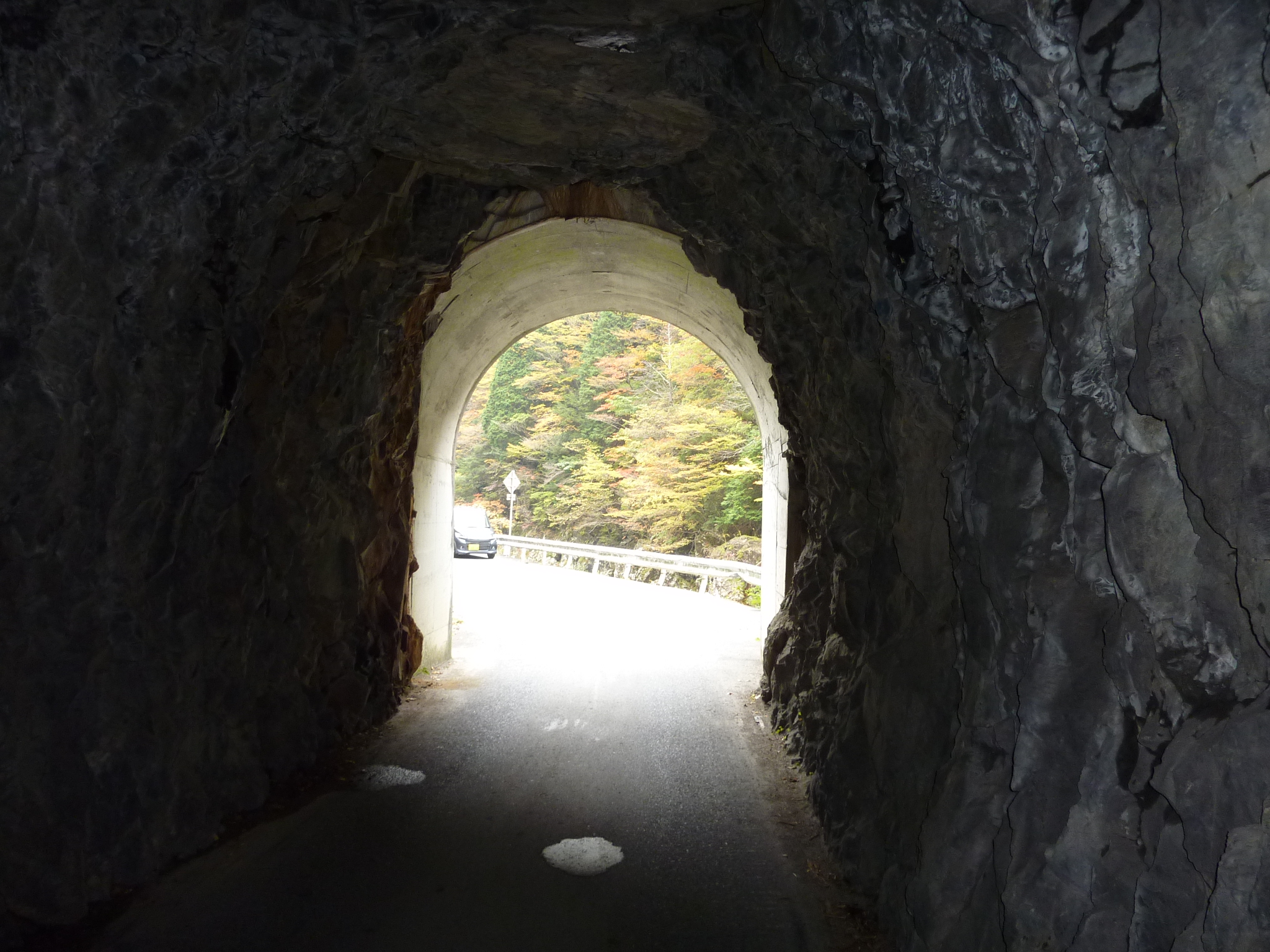 P1080221.JPG