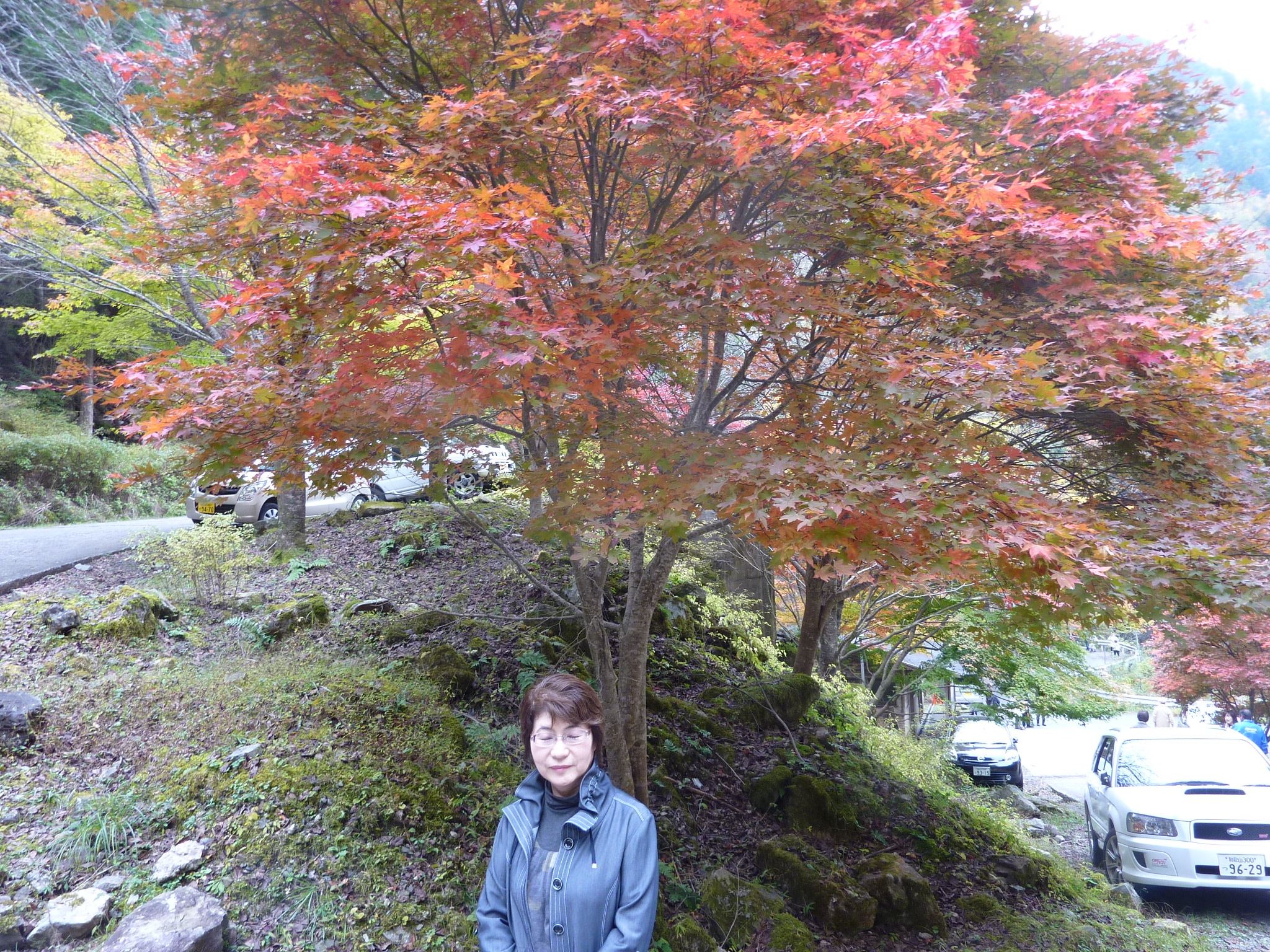P1080223.JPG