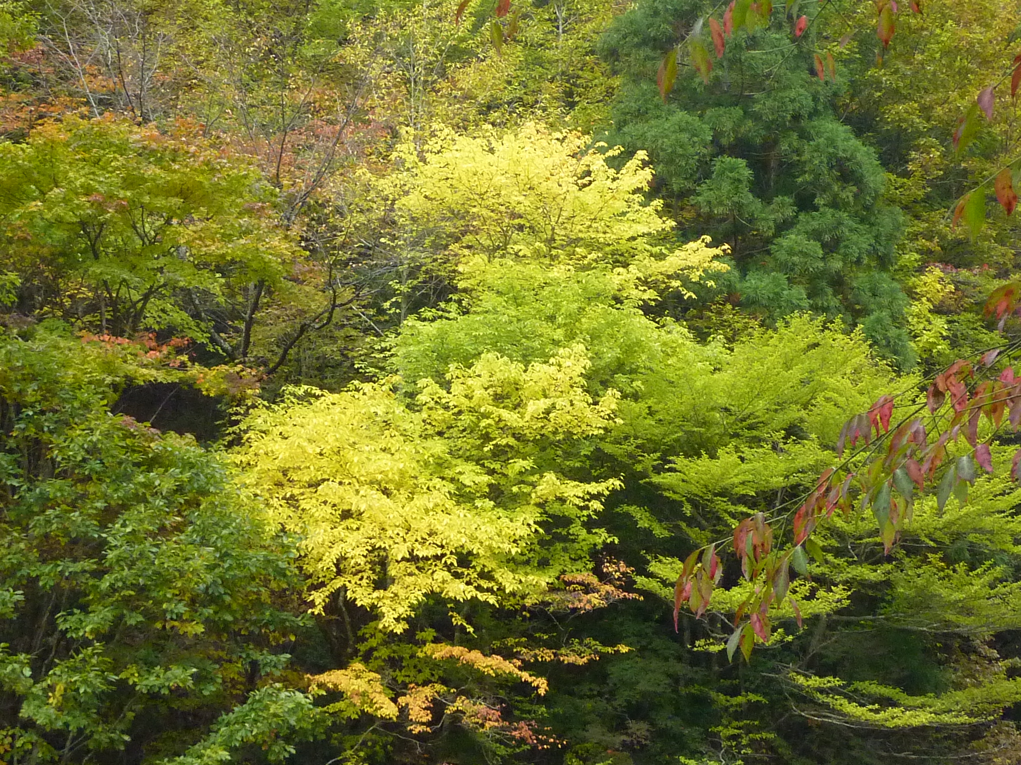 P1080232.JPG