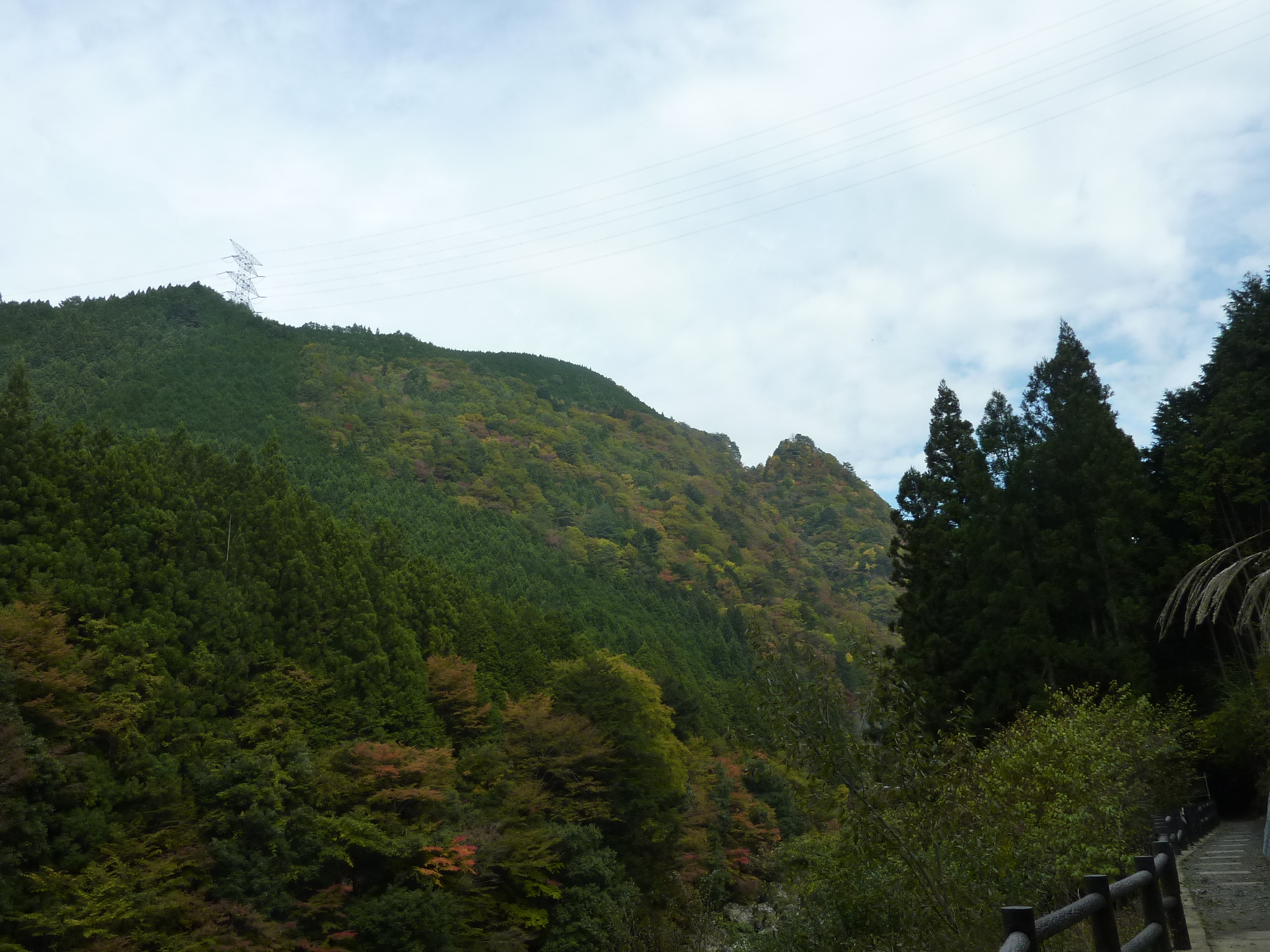 P1080233.JPG