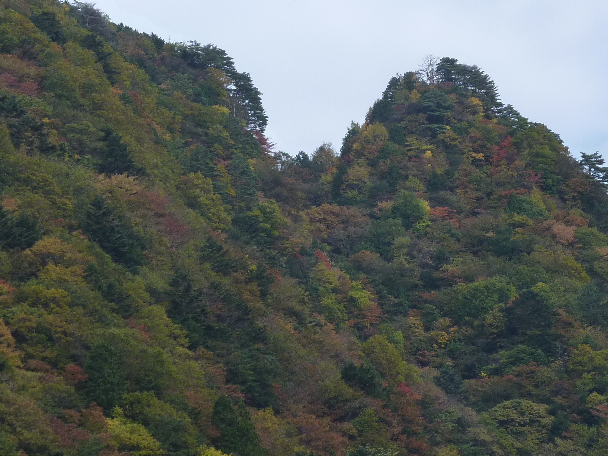 P1080234.JPG