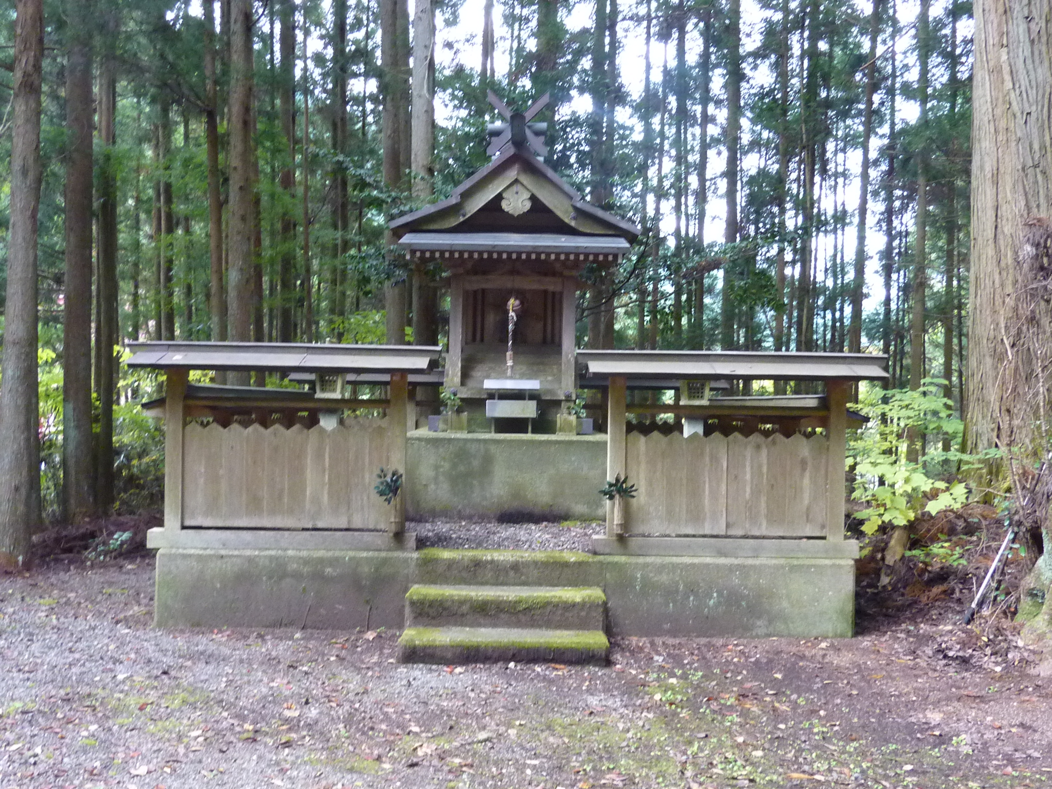P1080236.JPG