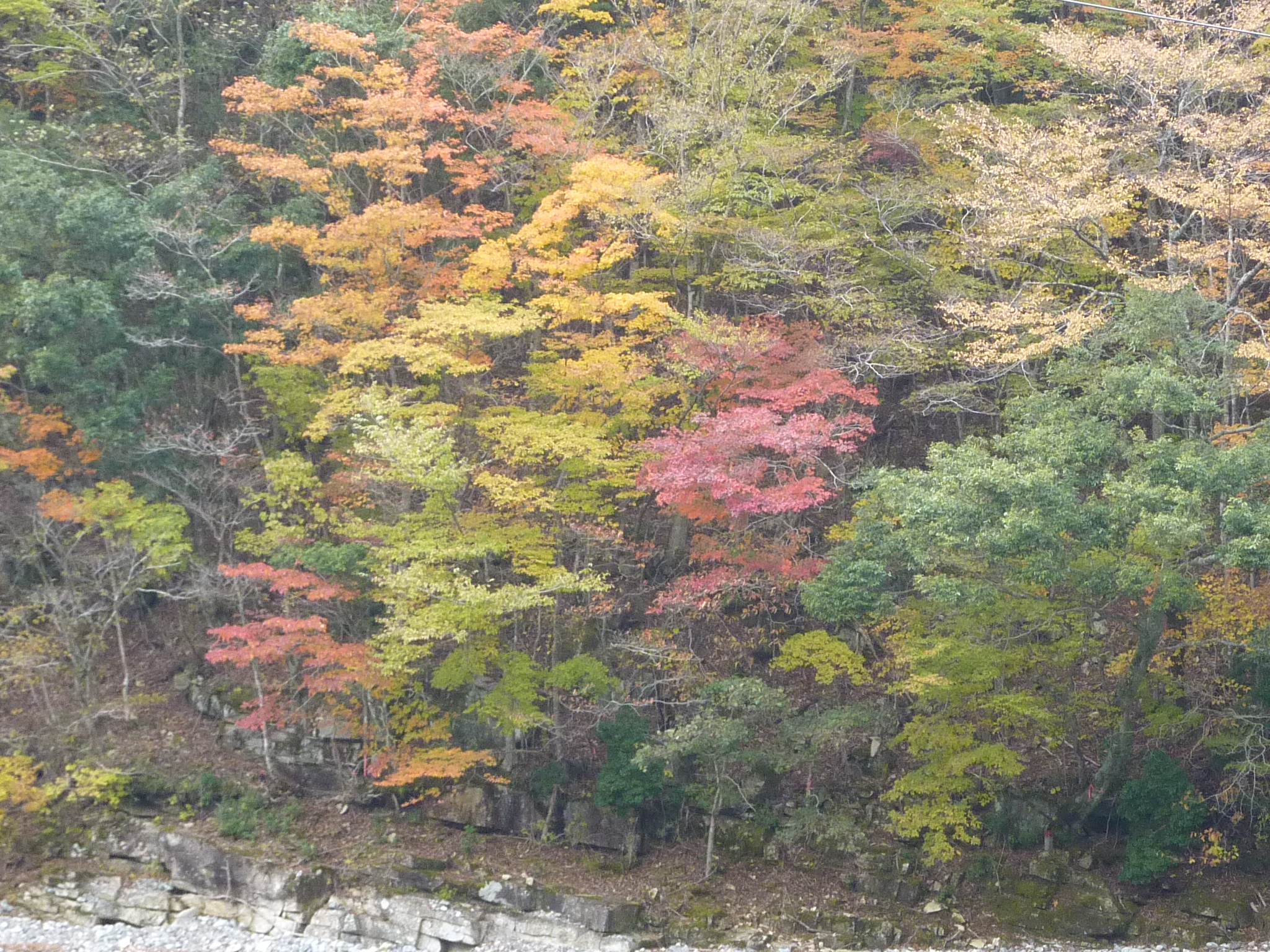 P1080238.JPG