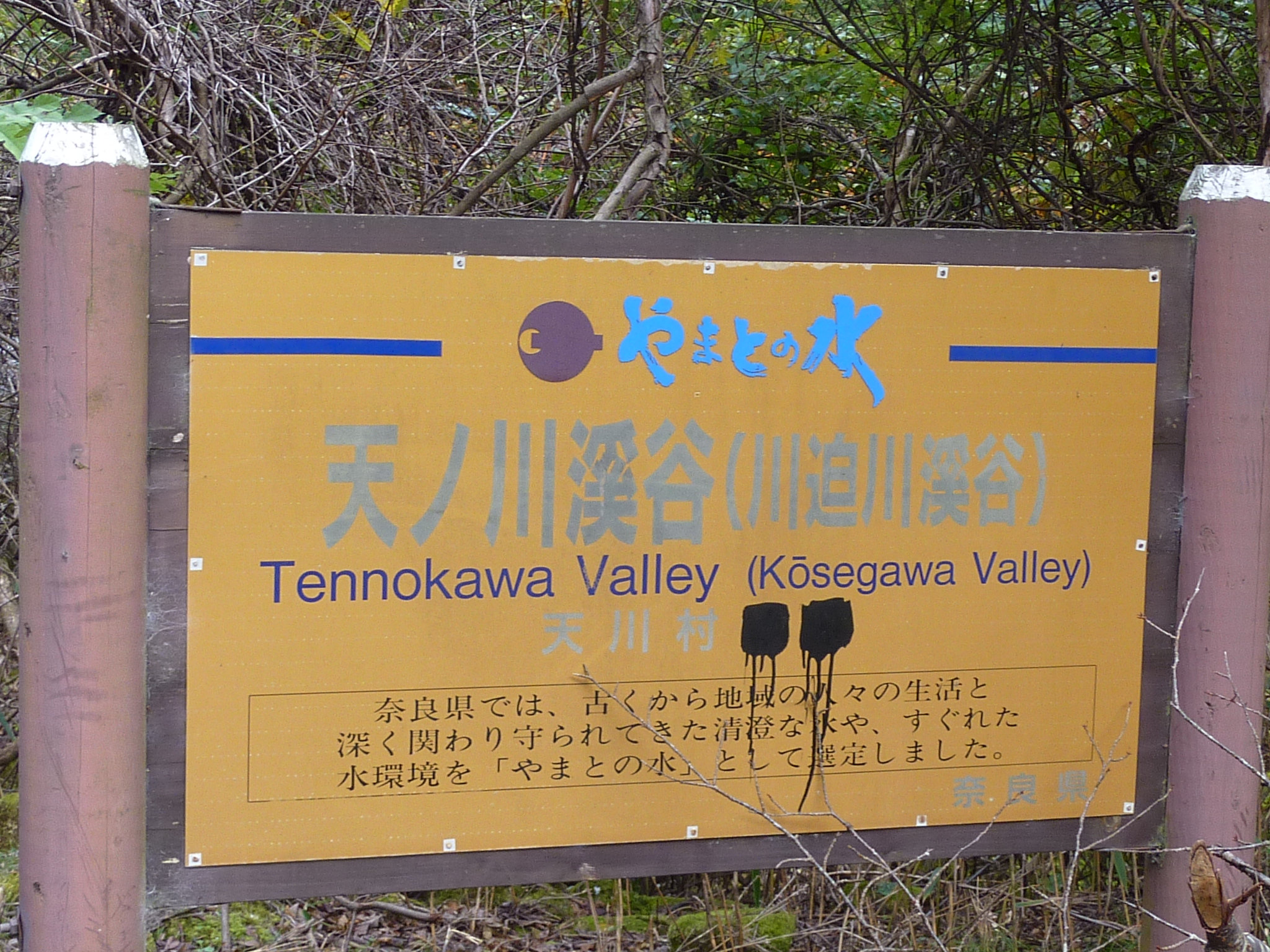 P1080239.JPG