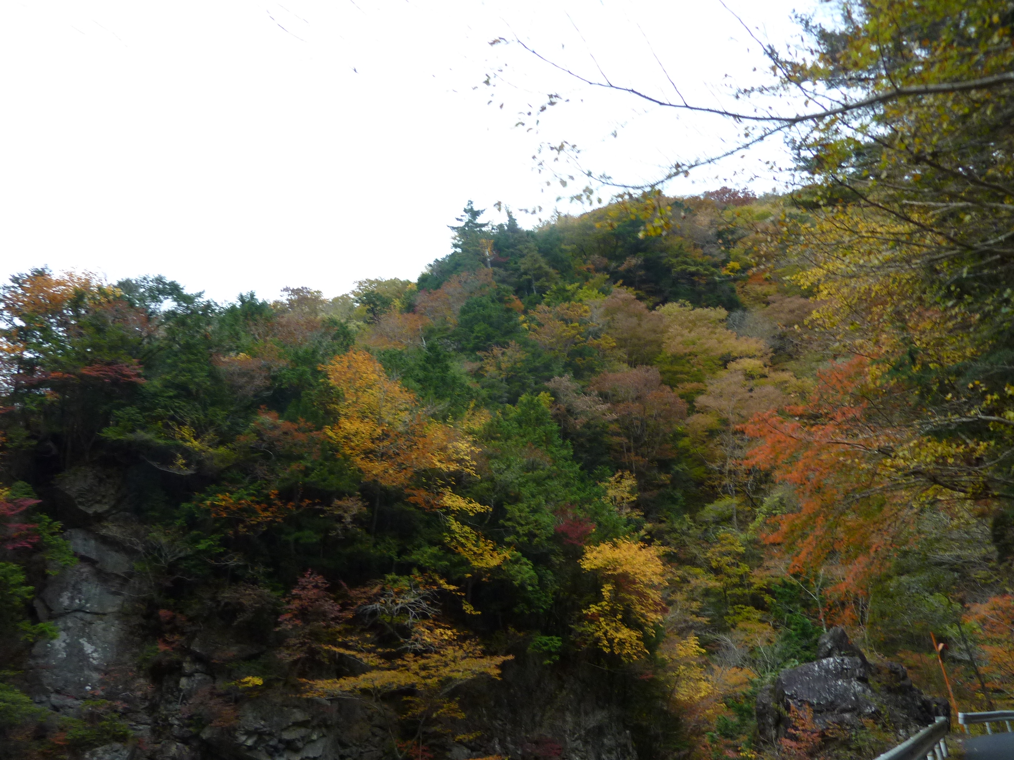 P1080246.JPG