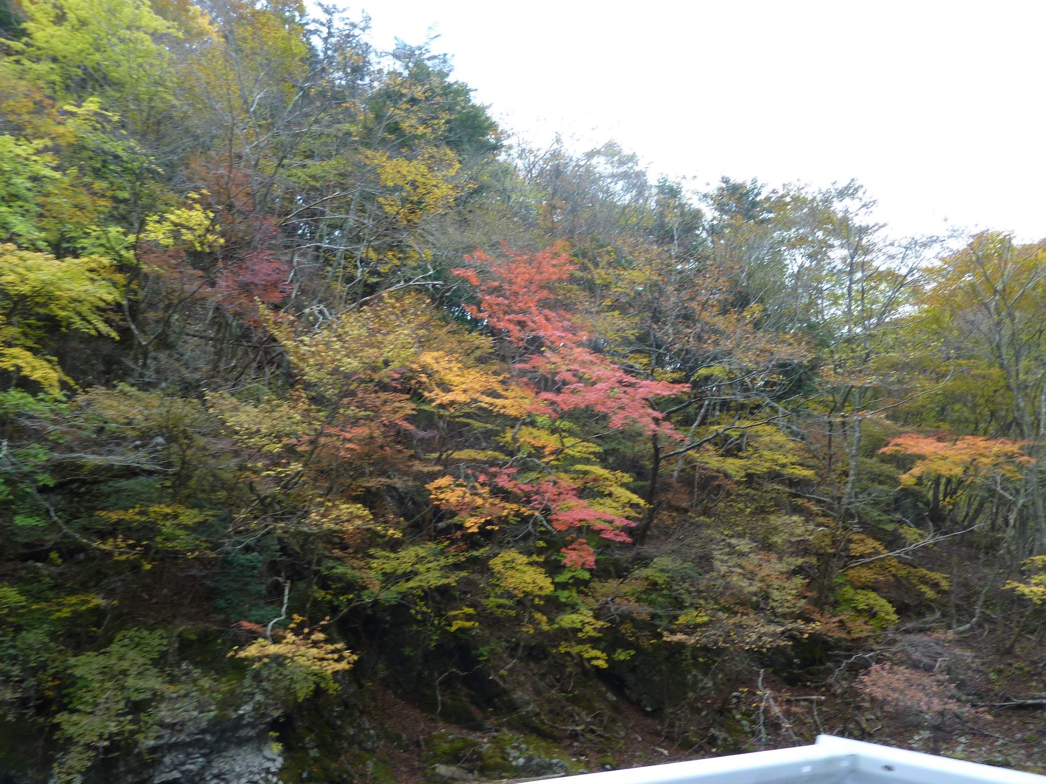 P1080247.JPG