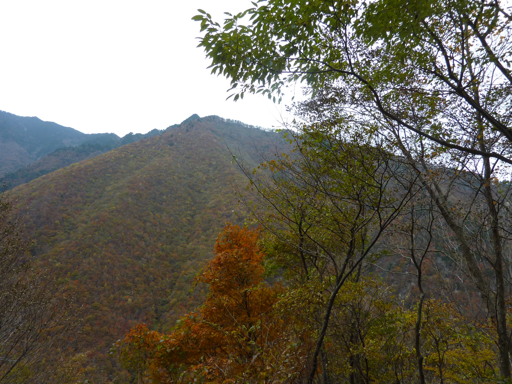 P1080250.JPG
