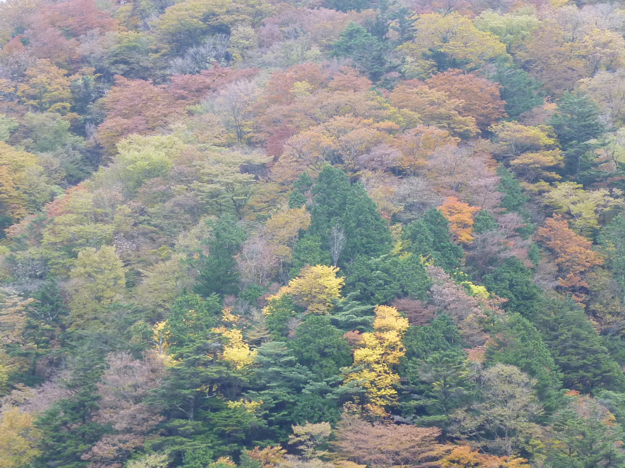 P1080251.JPG