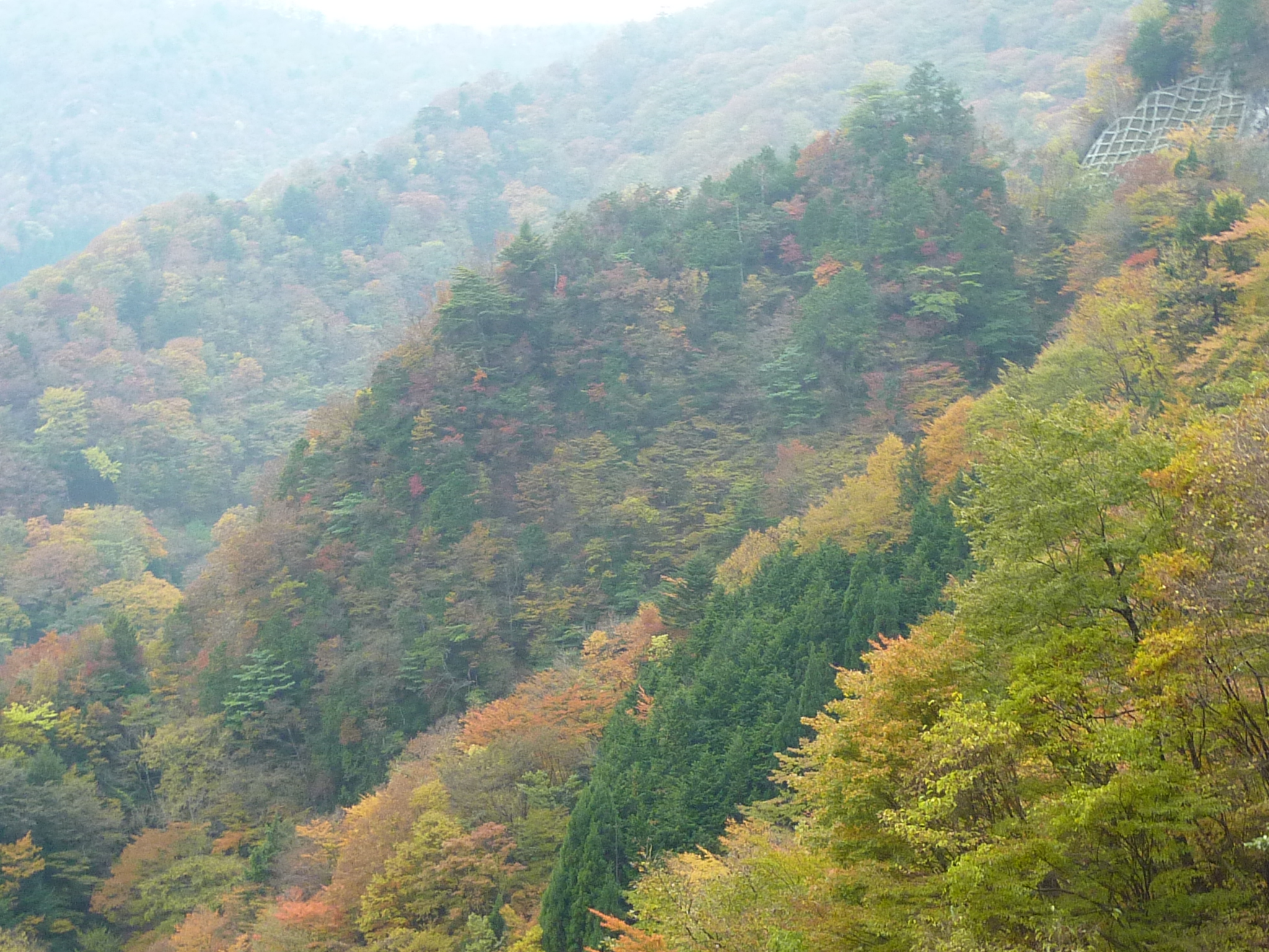 P1080255.JPG