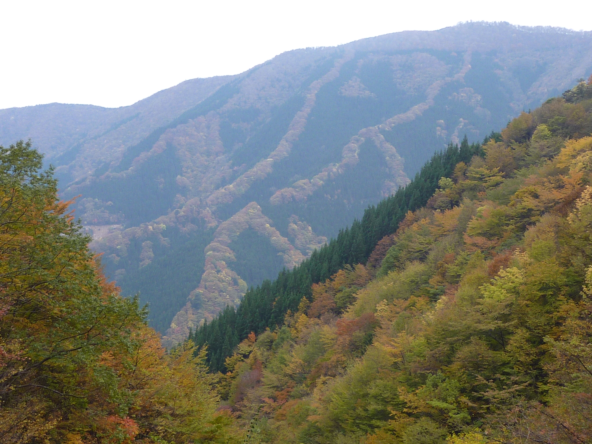 P1080258.JPG