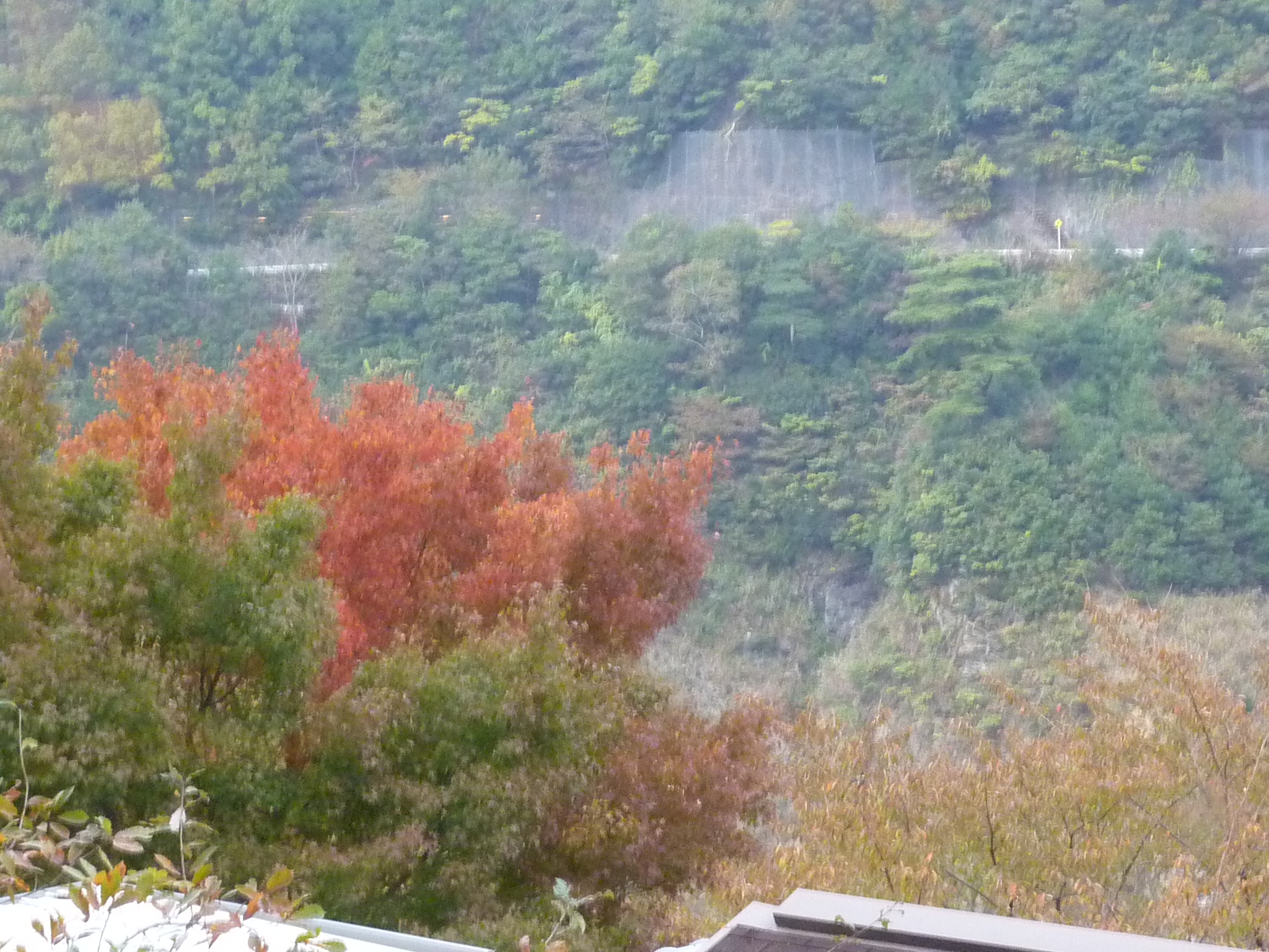 P1080259.JPG