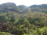 img0020.jpg
