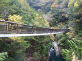 img0024.jpg