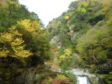img0042.jpg