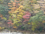 img0063.jpg