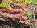 img0065.jpg