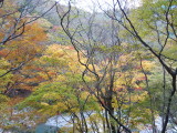 img0068.jpg
