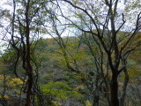 img0069.jpg