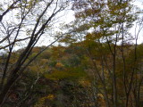 img0070.jpg