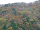 img0077.jpg