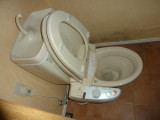 img0010.jpg