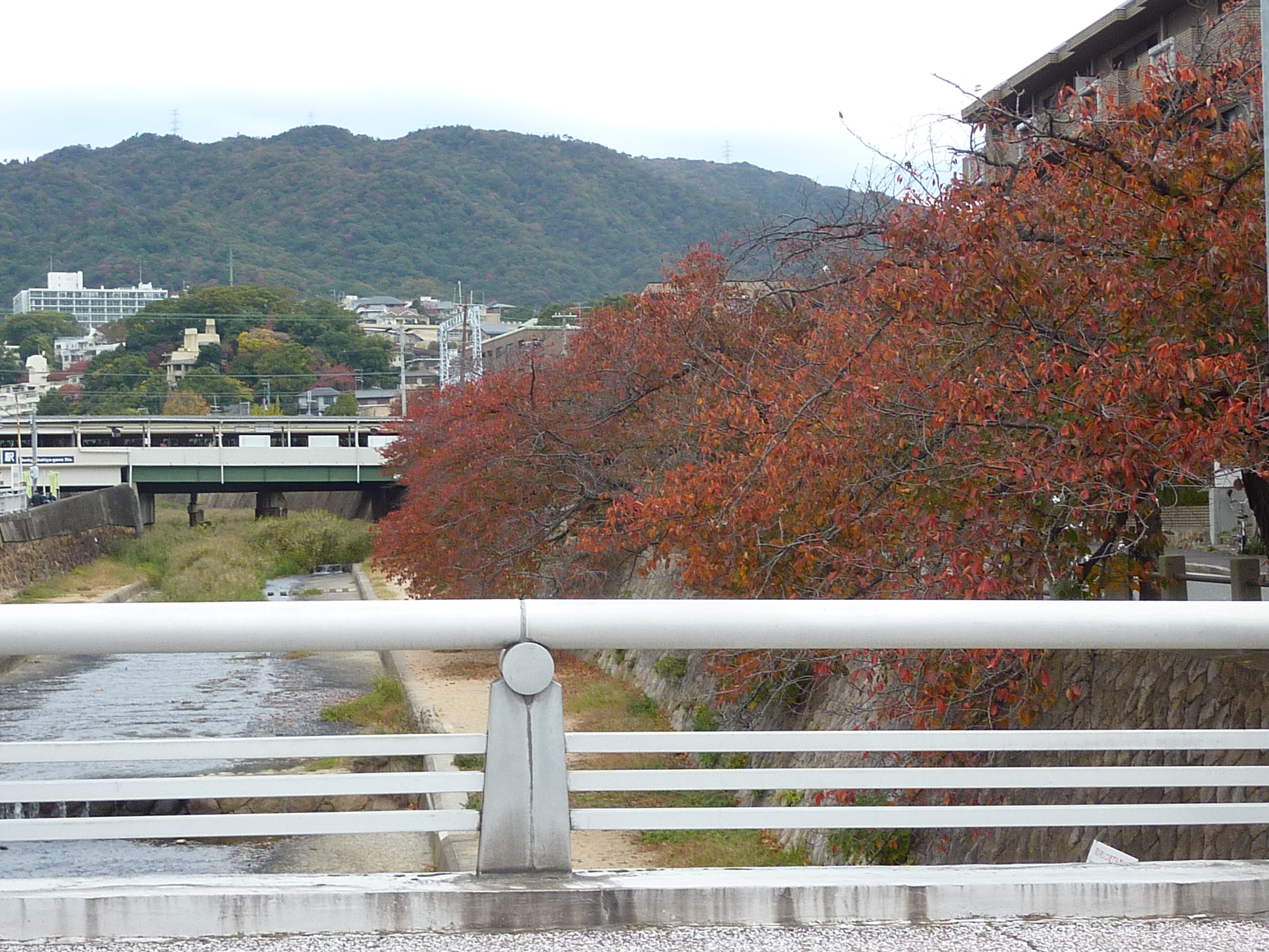 P1080520.JPG