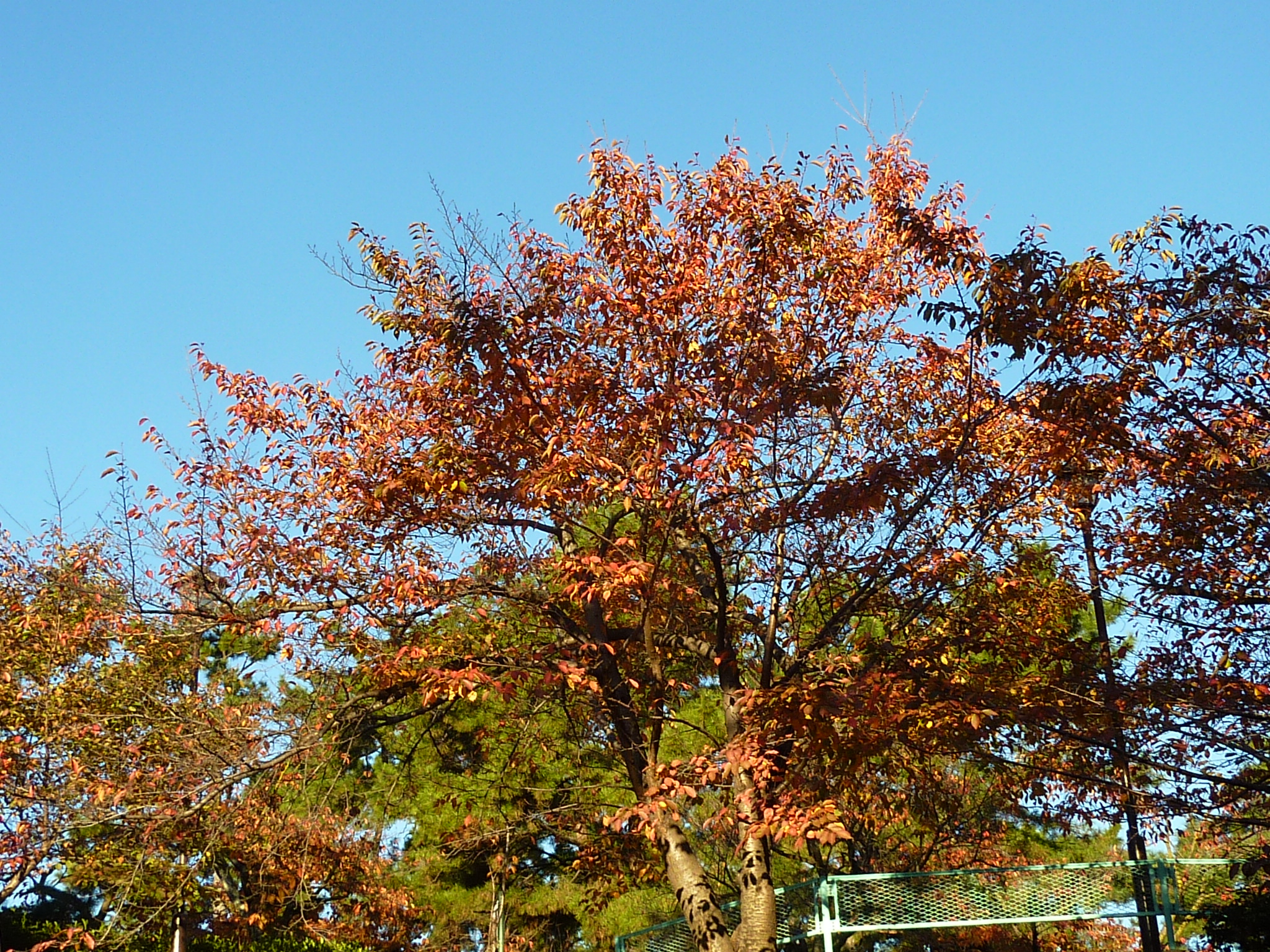 P1080547.JPG
