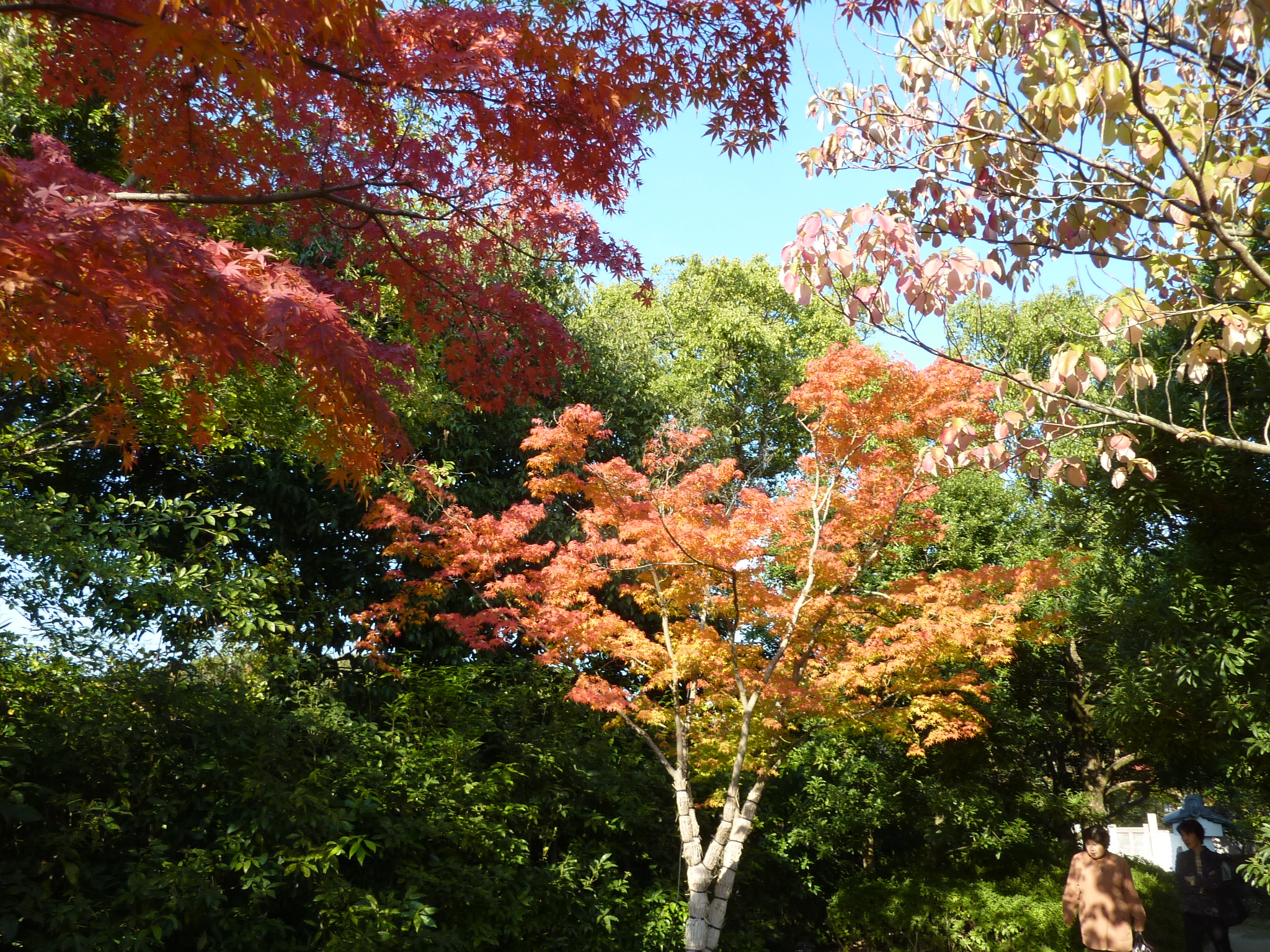 P1080562.JPG