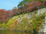 img0009.jpg