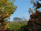 img0016.jpg