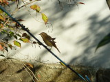 img0019.jpg