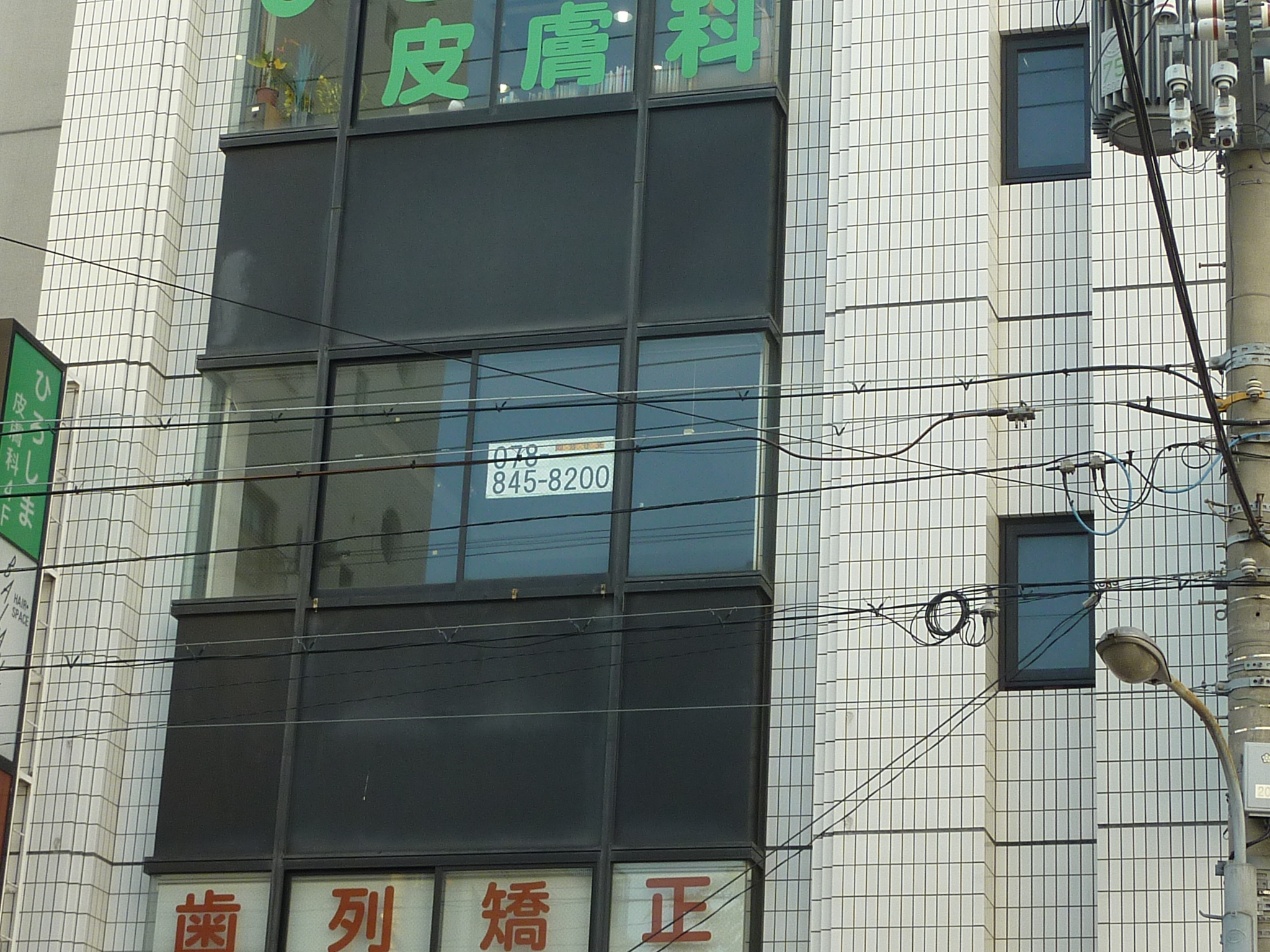 P1080589.JPG