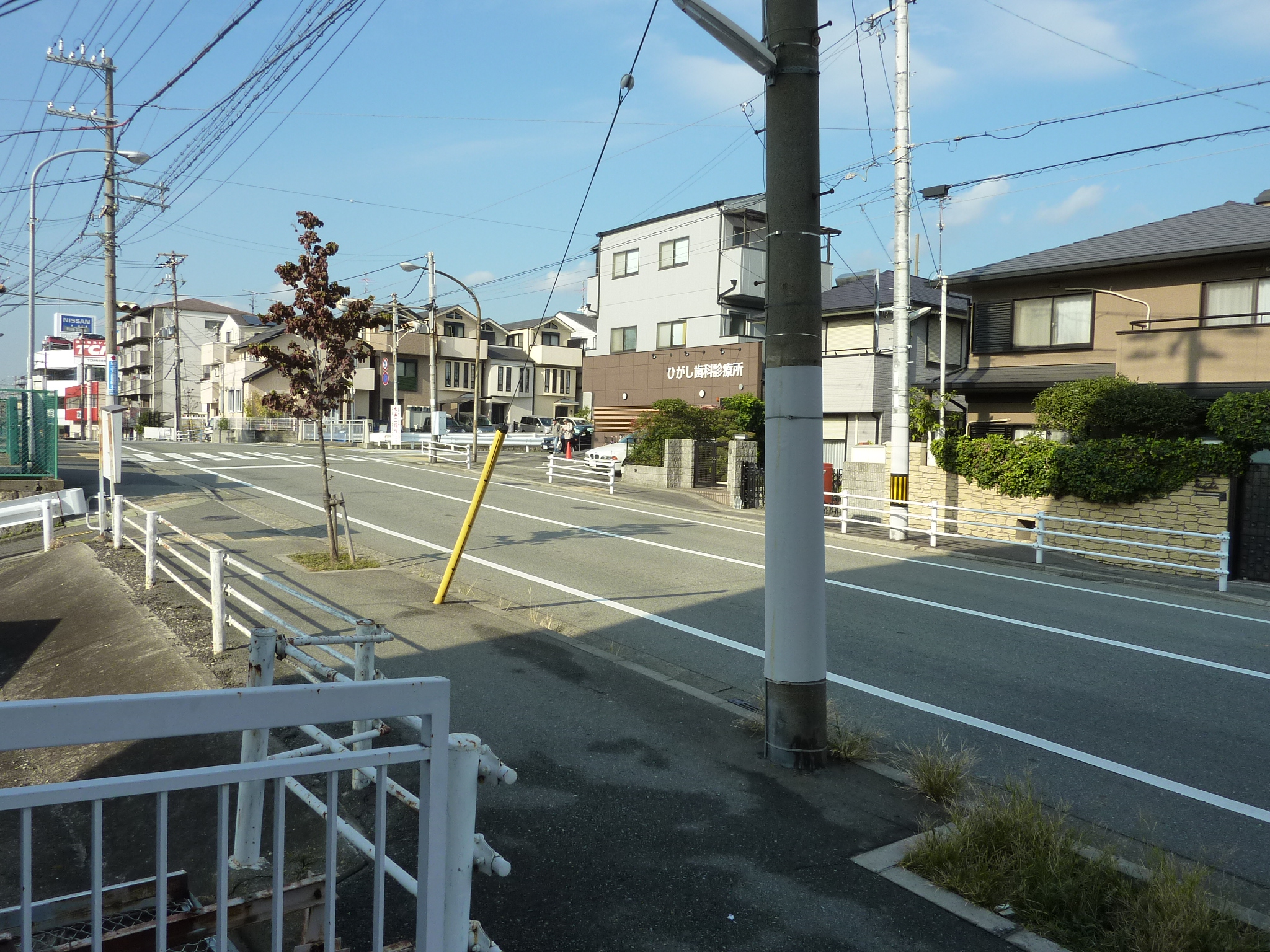 P1080610.JPG