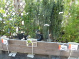 img0035.jpg
