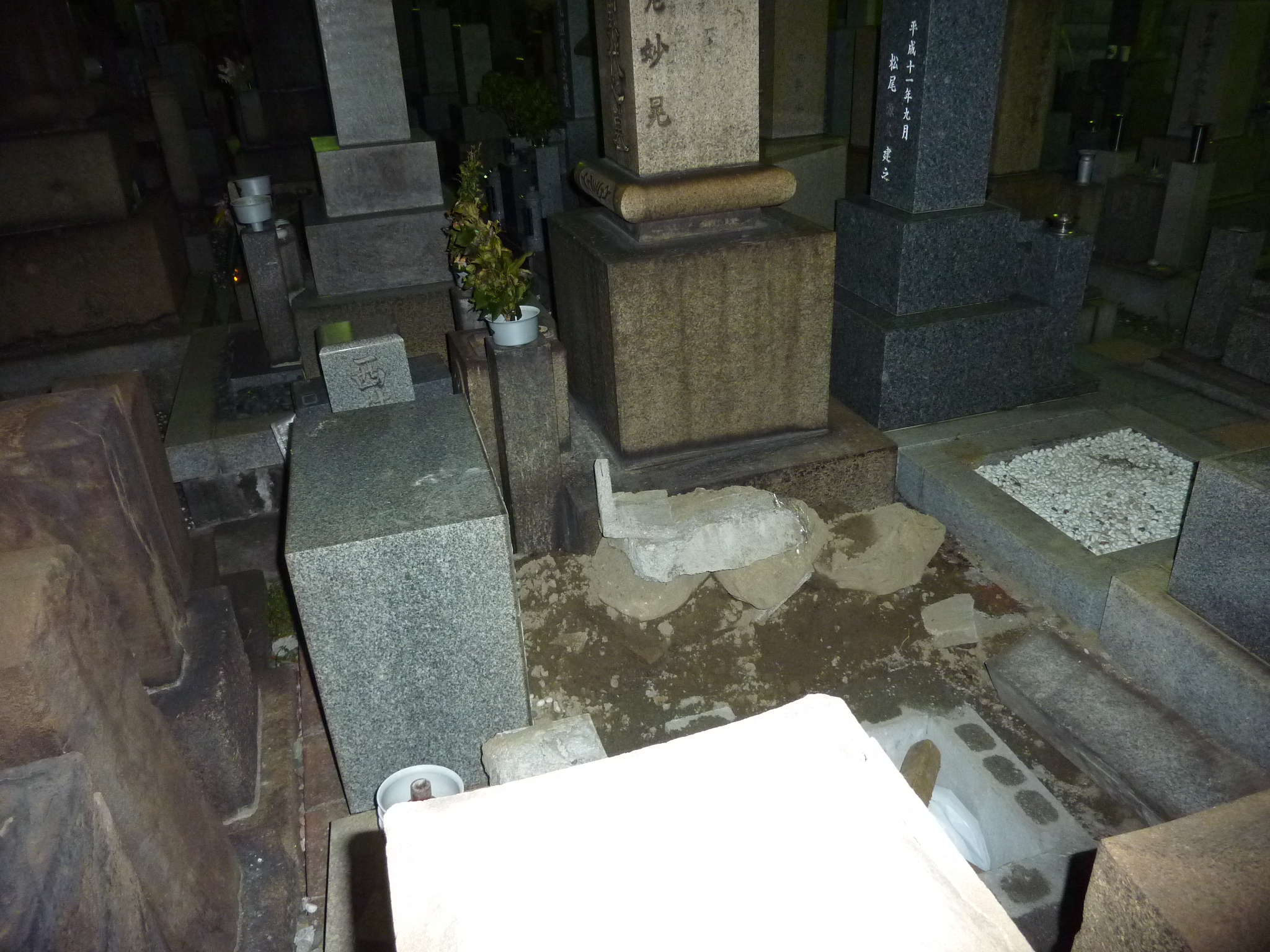 P1080635.JPG