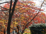 img0001.jpg